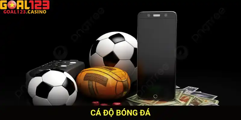 Cá độ bóng đá goal123