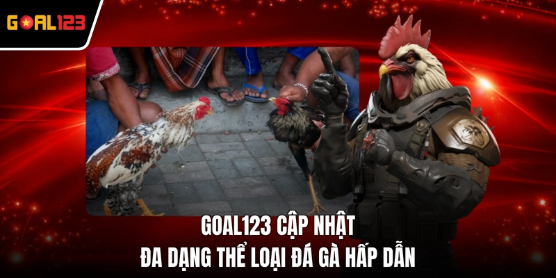 GOAL123 cập nhật đa dạng thể loại đá gà hấp dẫn