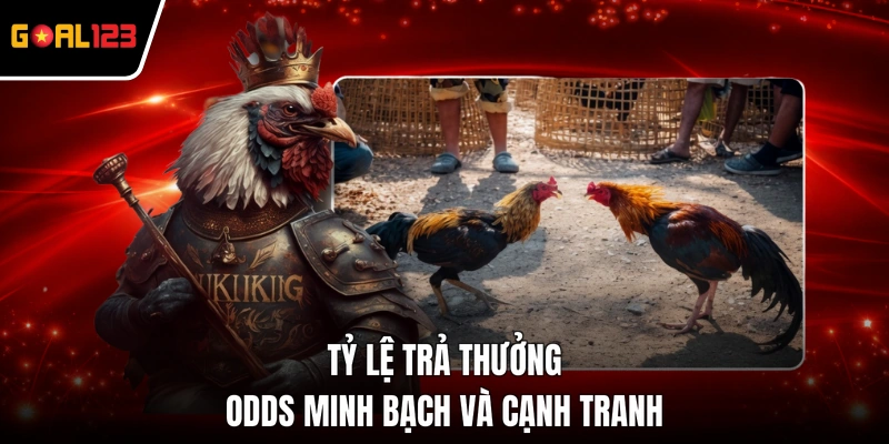 Tỷ lệ trả thưởng Odds minh bạch và cạnh tranh